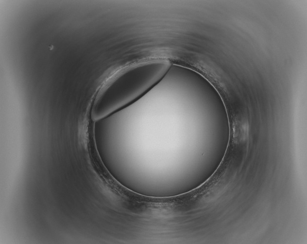 X0000111380436200907101129