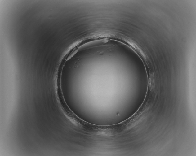 X0000111380438200907101129