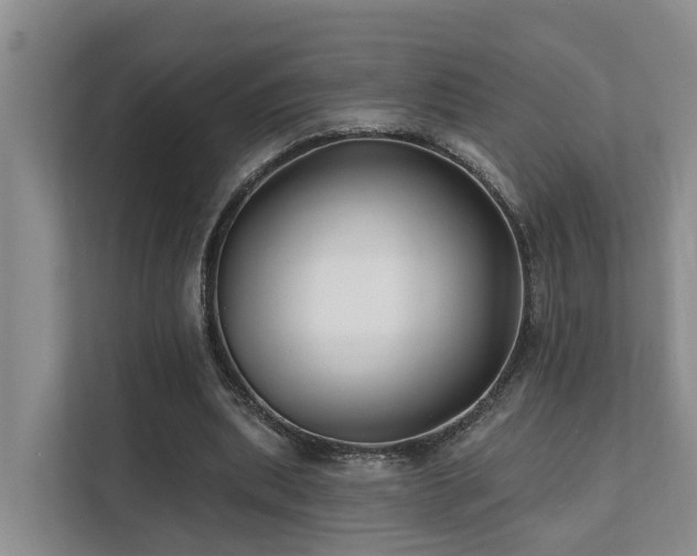 X0000111380439200907101129