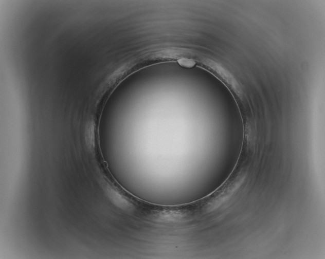 X0000111380445200907101129