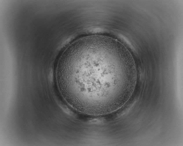 X0000111380447200907101129