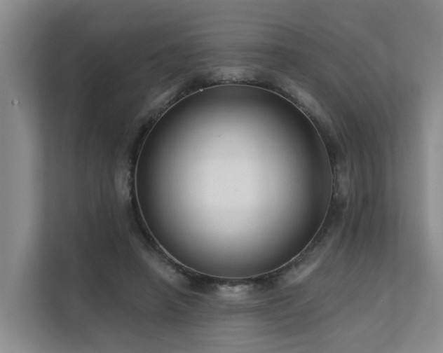 X0000111380450200907101129