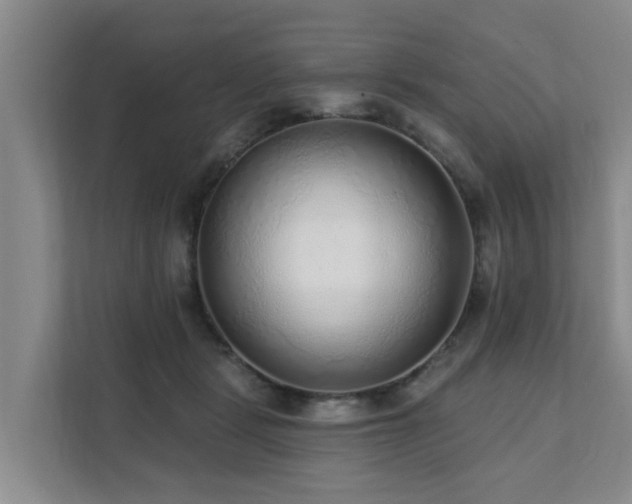 X0000111380461200907101129