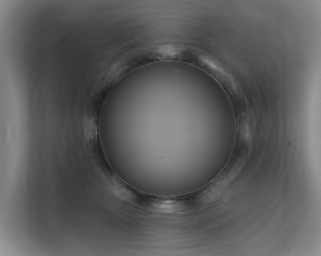 X0000111380467200907101129