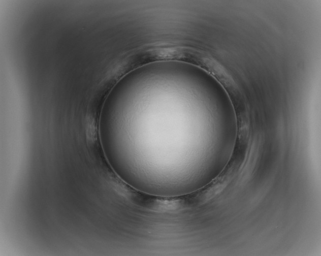 X0000111380469200907101130