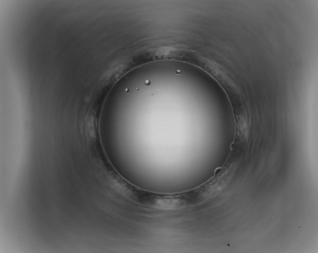 X0000111380470200907101130
