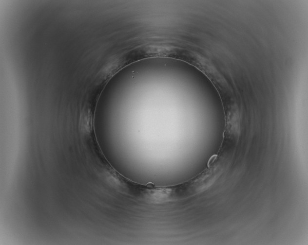 X0000111380474200907101130