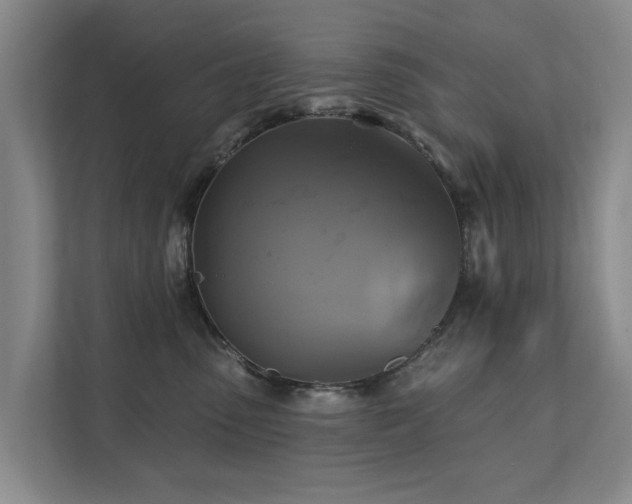 X0000111380475200907101130