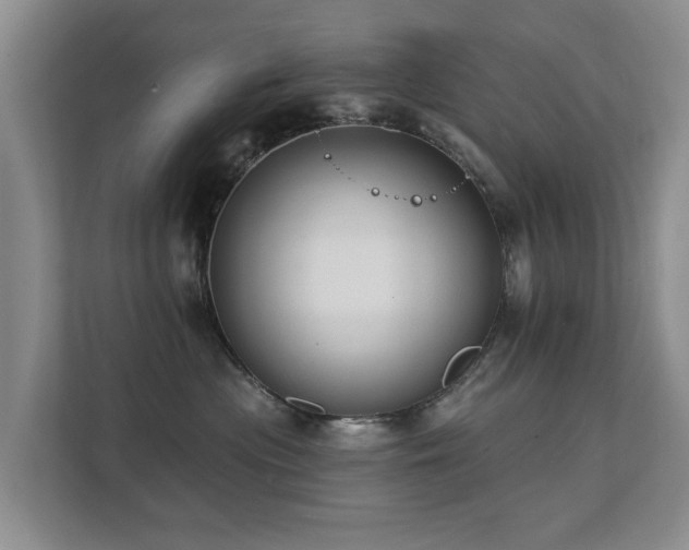 X0000111380477200907101130