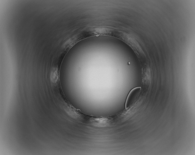 X0000111380478200907101130