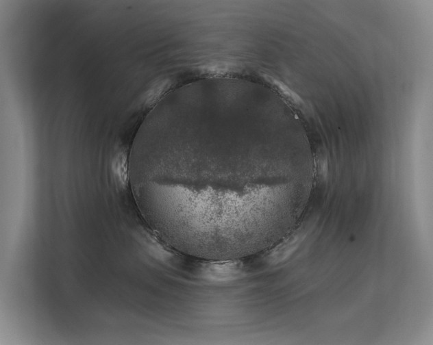 X0000111380479200907101130