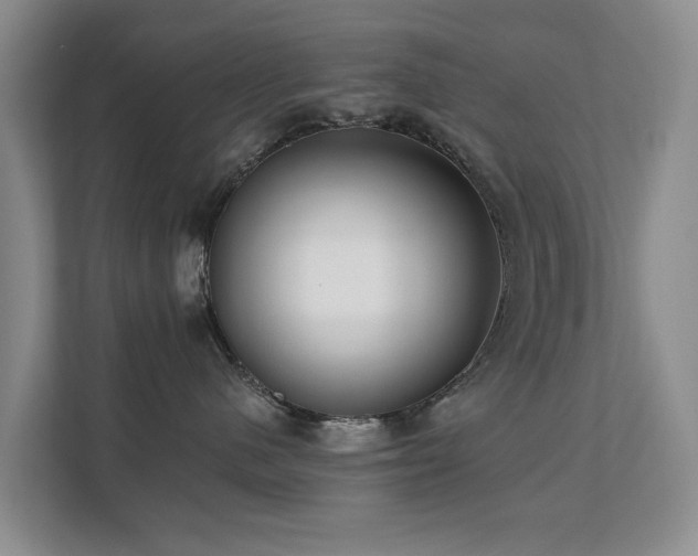 X0000111380480200907101130