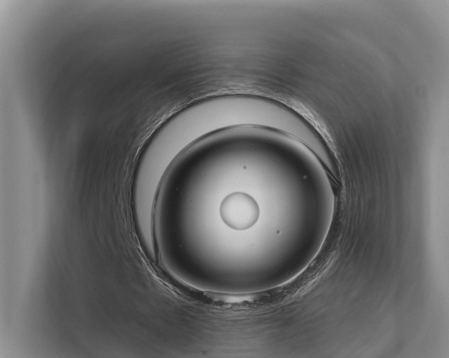 X0000111380481200907101129