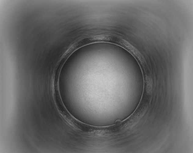 X0000111380482200907101129