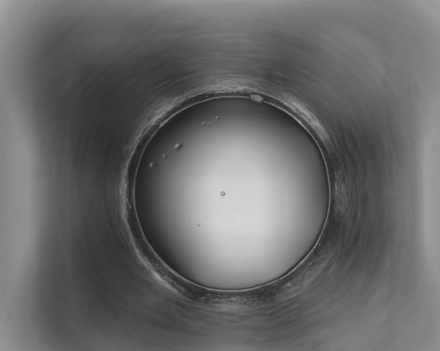 X0000111380485200907101129