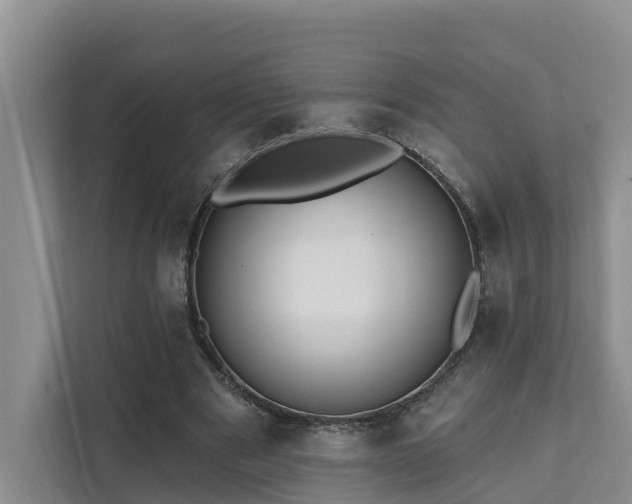 X0000111380489200907101129