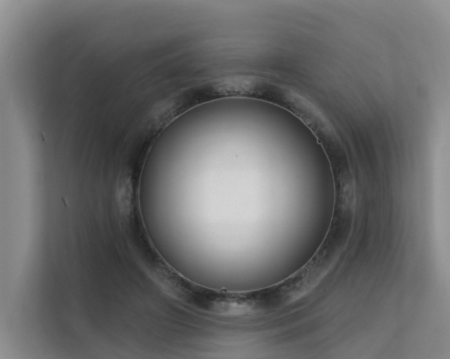 X0000111380498200907101129