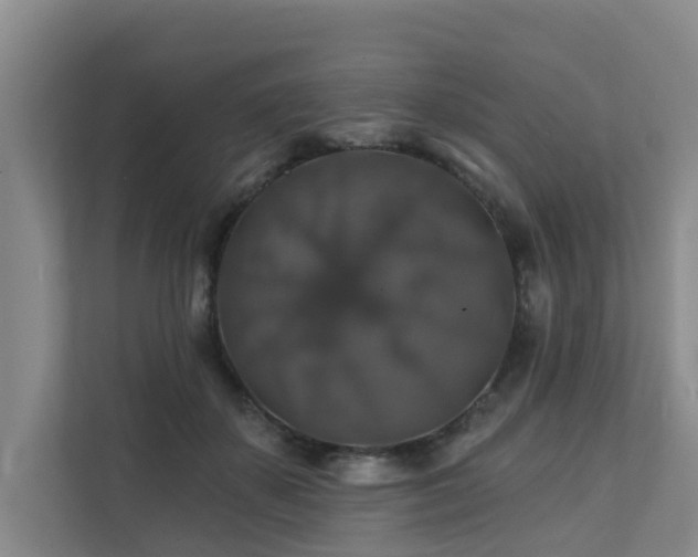 X0000111380507200907101129