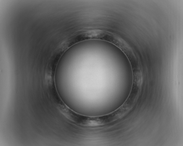 X0000111380510200907101129