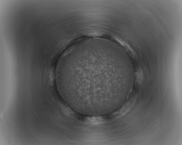 X0000111380517200907101129