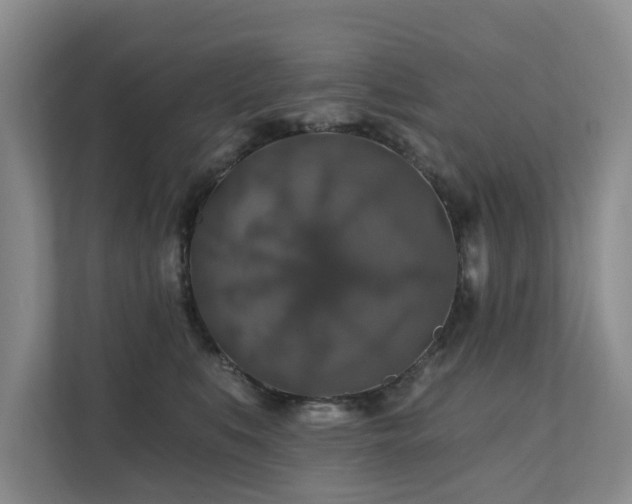 X0000111380519200907101129