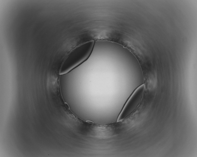 X0000111380521200907101129