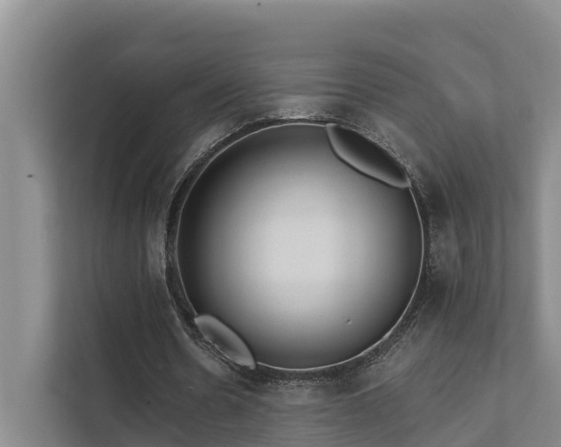 X0000111380530200907101128