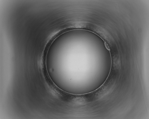 X0000111380536200907101128