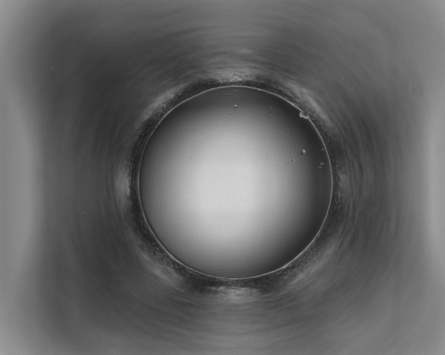 X0000111380539200907101128