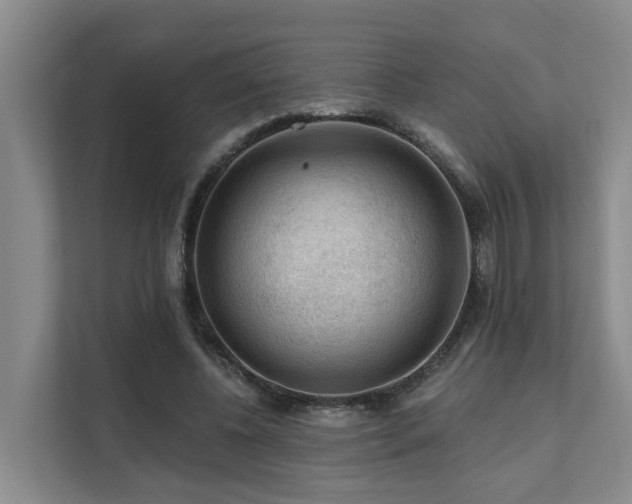 X0000111380540200907101128