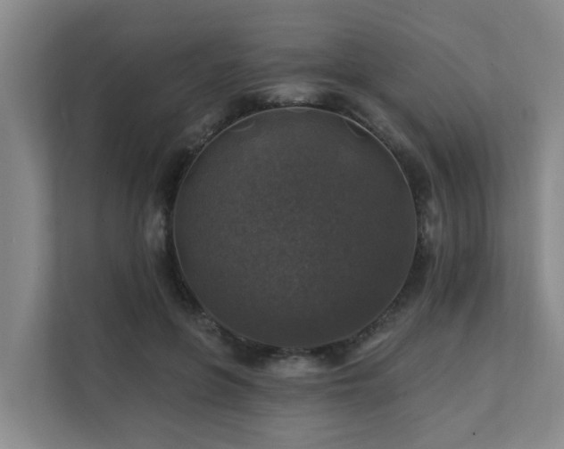 X0000111380551200907101128