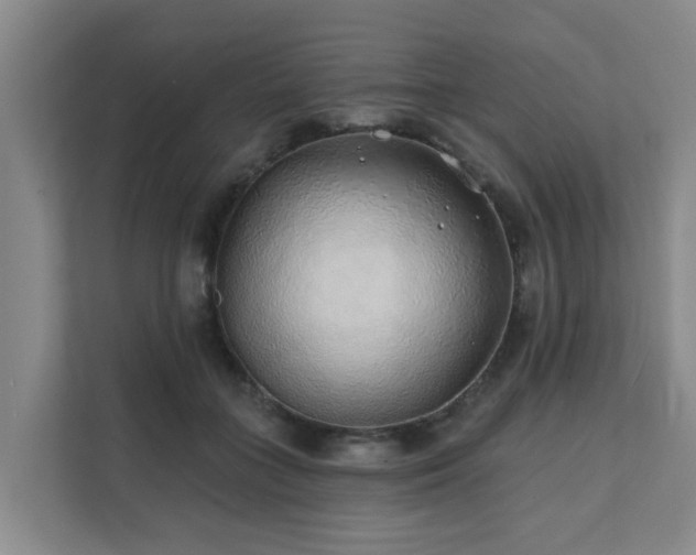 X0000111380555200907101128