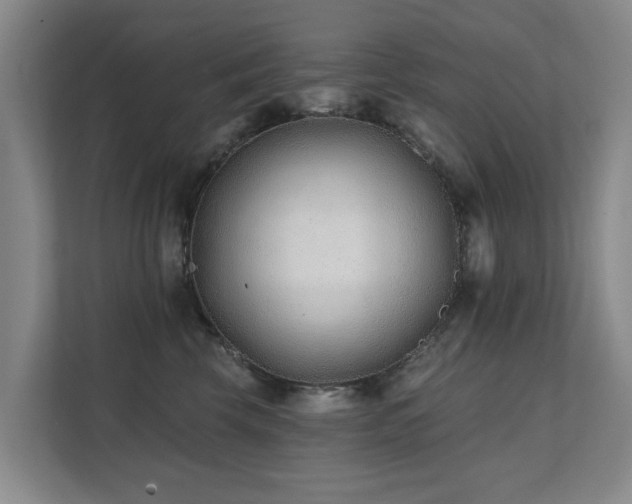 X0000111380569200907101128