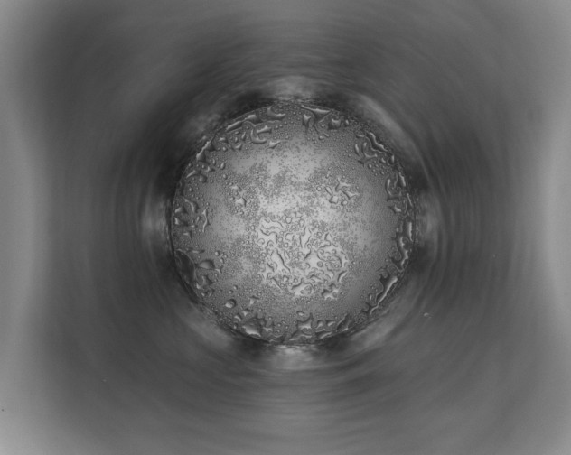 X0000111380573200907101128