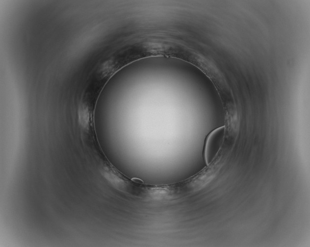X0000111380574200907101128