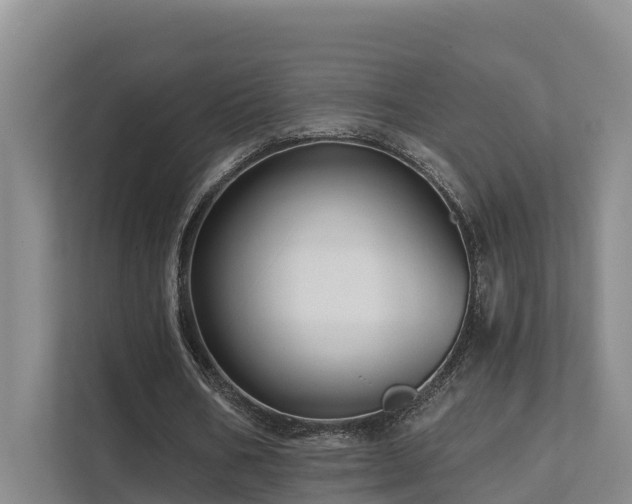 X0000111380578200907101128