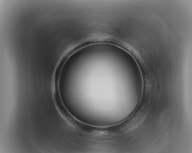 X0000111380582200907101128