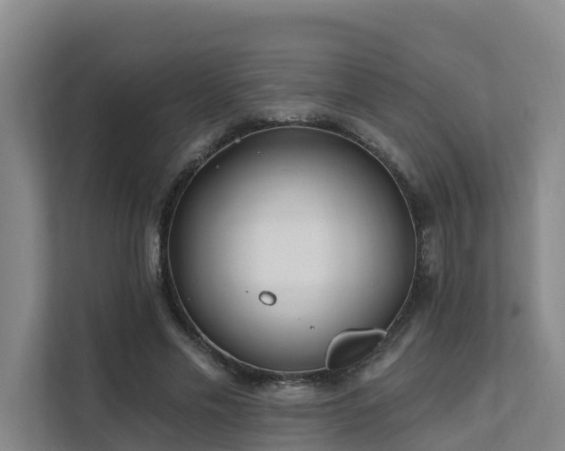 X0000111380589200907101128