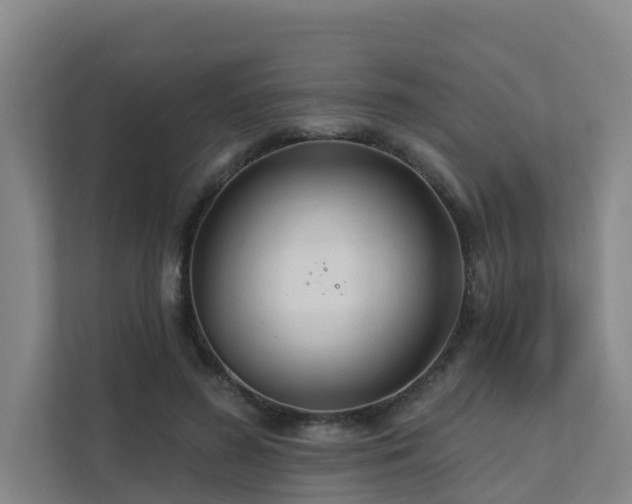 X0000111380596200907101128