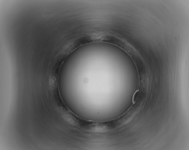X0000111380601200907101127
