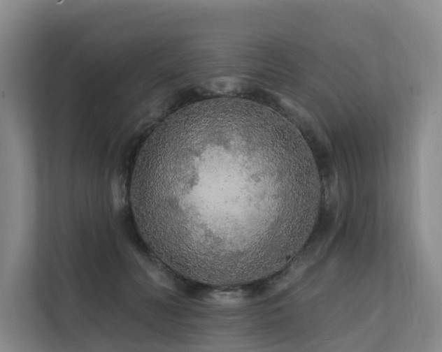 X0000111380606200907101127