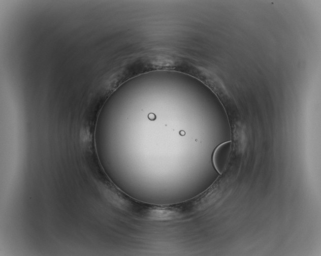 X0000111380614200907101127