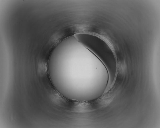 X0000111380621200907101127