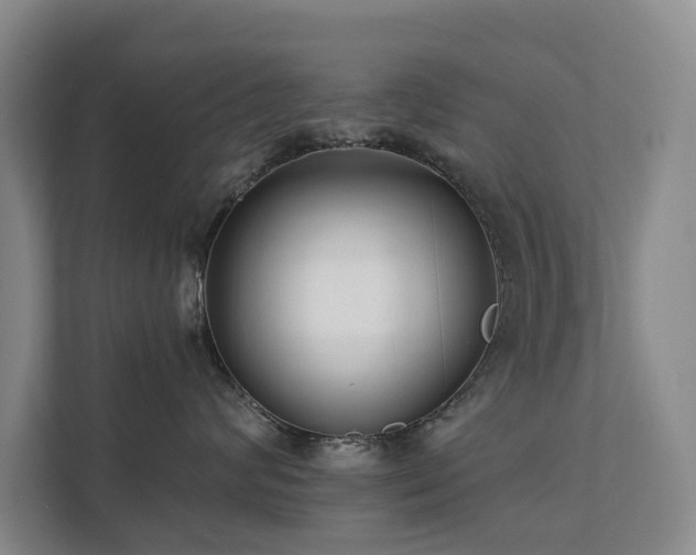X0000111380624200907101127