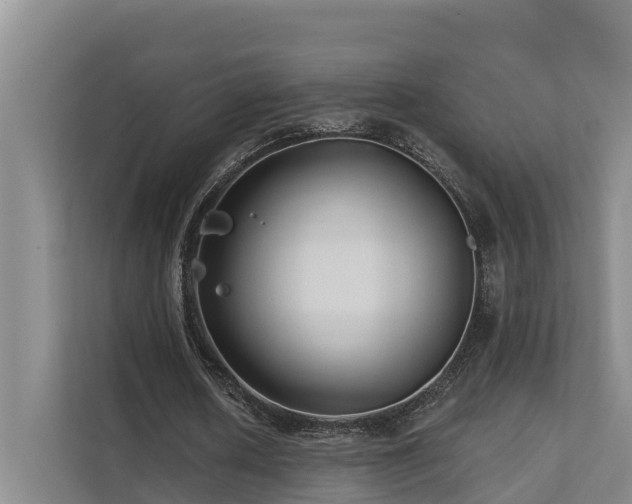 X0000111380626200907101127