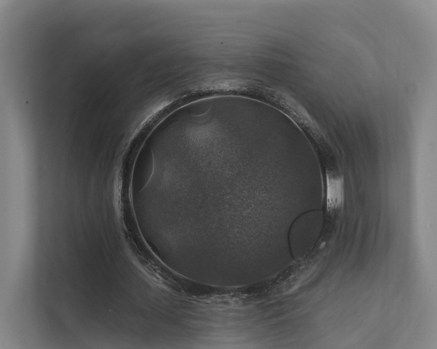 X0000111380627200907101127
