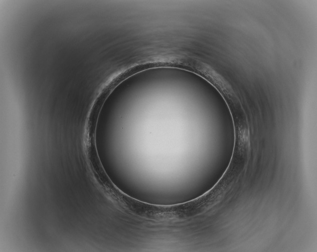 X0000111380628200907101127