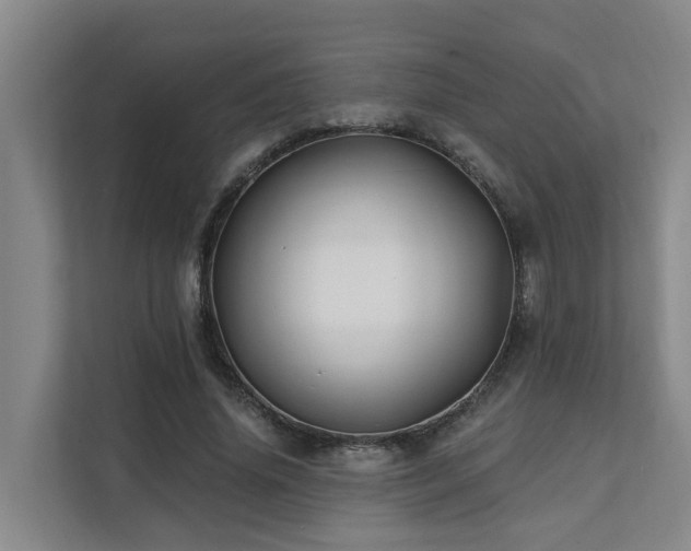X0000111380636200907101127
