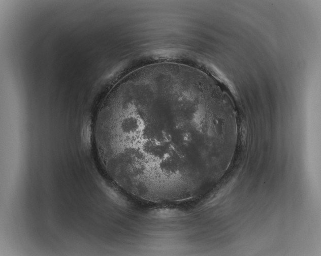 X0000111380637200907101127