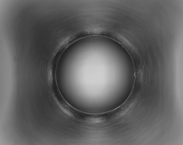 X0000111380638200907101127
